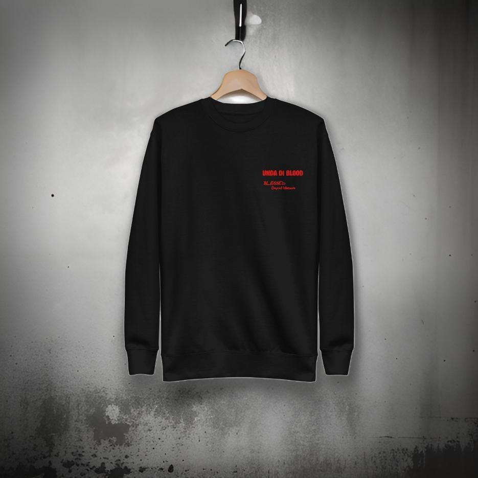 Red Blessed Beyond Measure Unisex Premium Sweatshirt